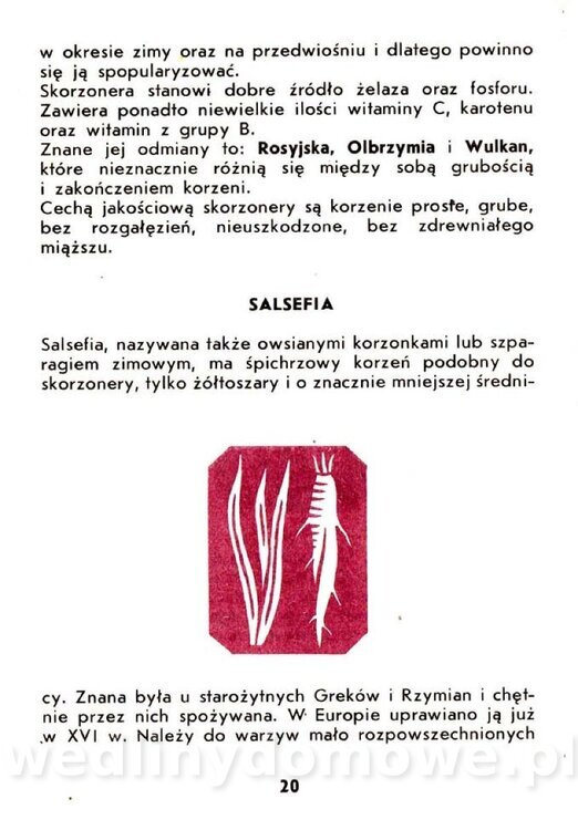 Warzywa korzeniowe-Kopeć-1986_021.jpg