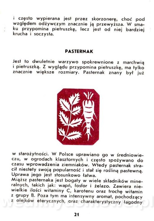 Warzywa korzeniowe-Kopeć-1986_022.jpg