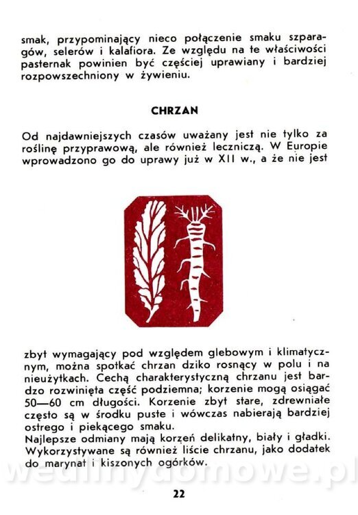 Warzywa korzeniowe-Kopeć-1986_023.jpg