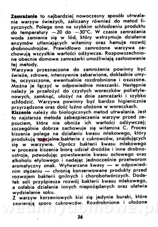 Warzywa korzeniowe-Kopeć-1986_037.jpg