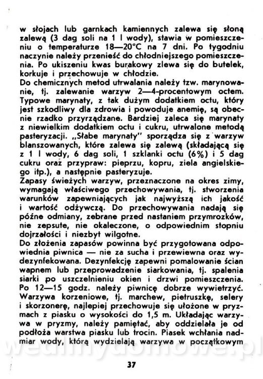 Warzywa korzeniowe-Kopeć-1986_038.jpg