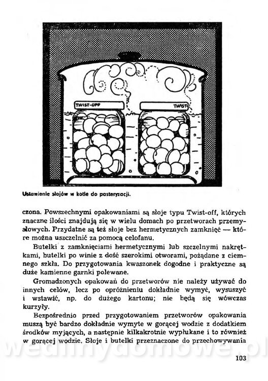 Z działki na stół i do spiżarni_102.jpg