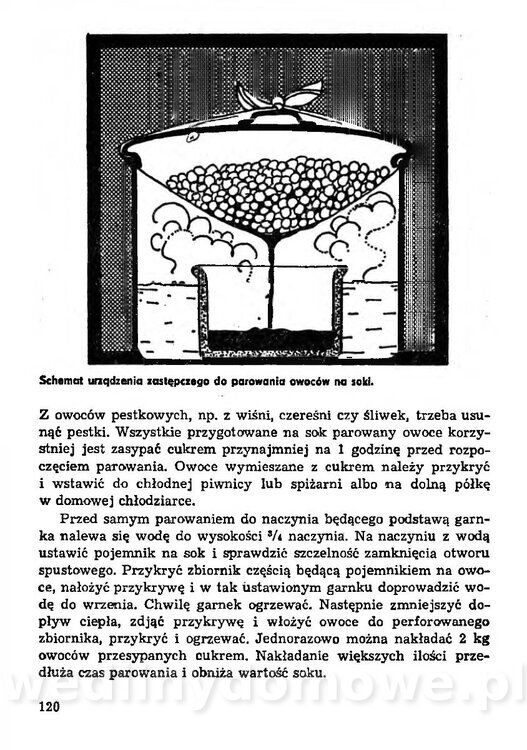 Z działki na stół i do spiżarni_119.jpg