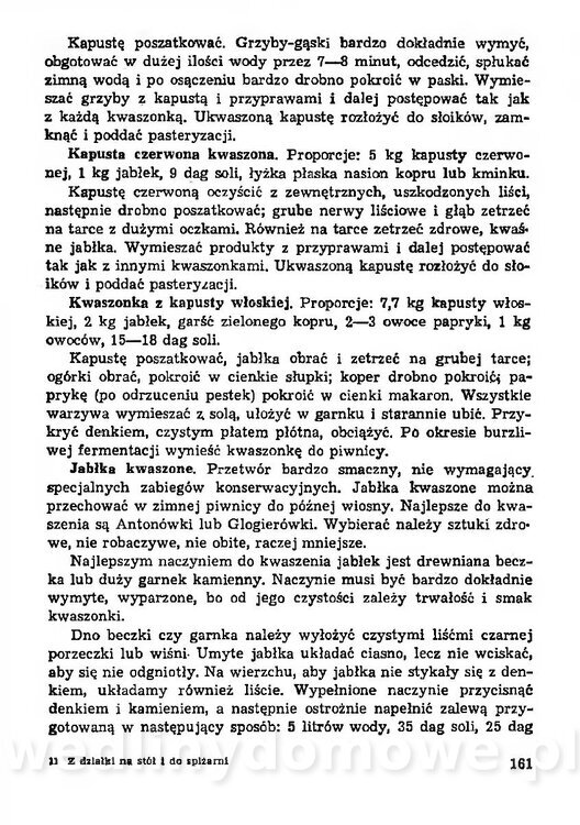 Z działki na stół i do spiżarni_160.jpg