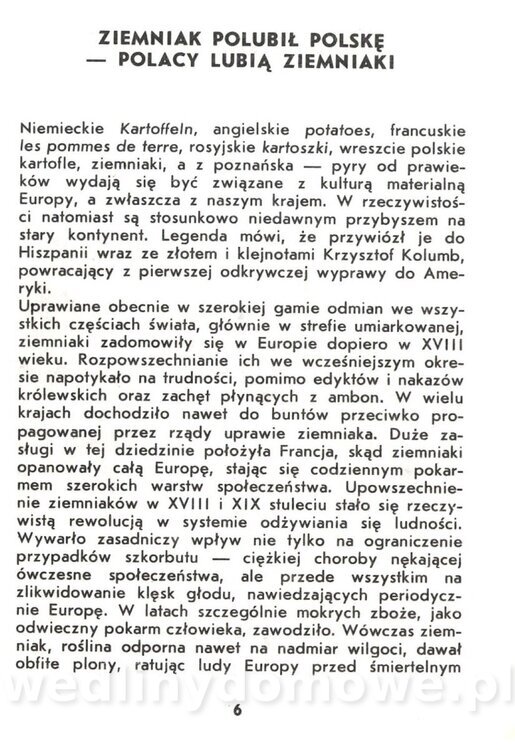 Ziemniaki - Zawistowska - 1983_007.jpg