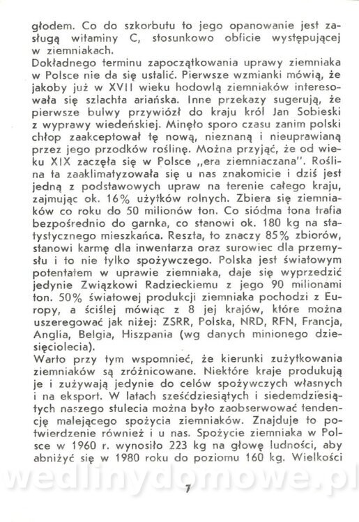 Ziemniaki - Zawistowska - 1983_008.jpg