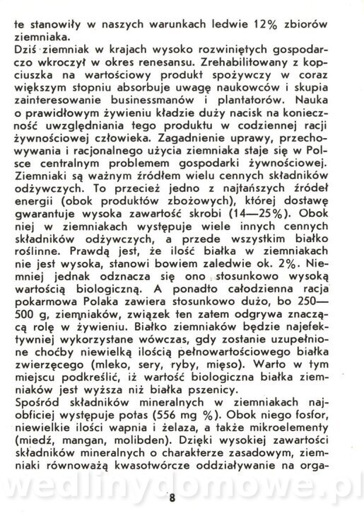 Ziemniaki - Zawistowska - 1983_009.jpg