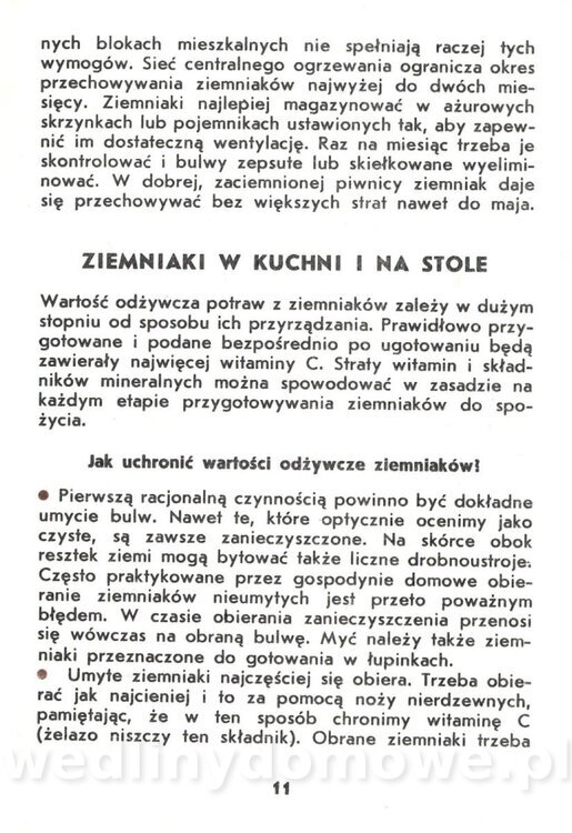 Ziemniaki - Zawistowska - 1983_012.jpg