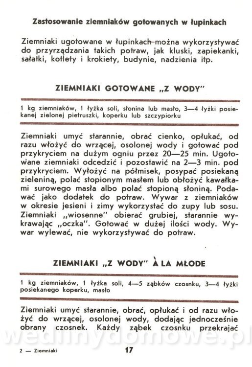 Ziemniaki - Zawistowska - 1983_017.jpg