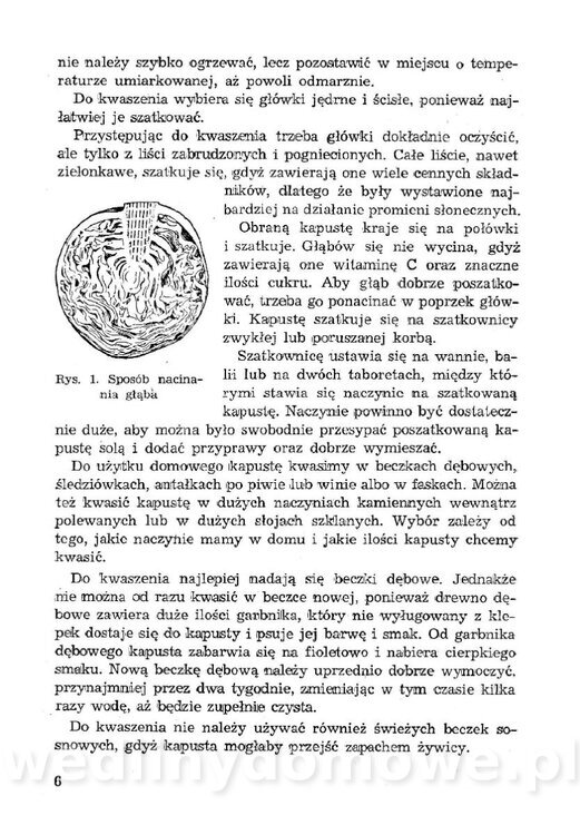 Łatwe i oszczędne przetwory z owoców, warzyw_07.jpg