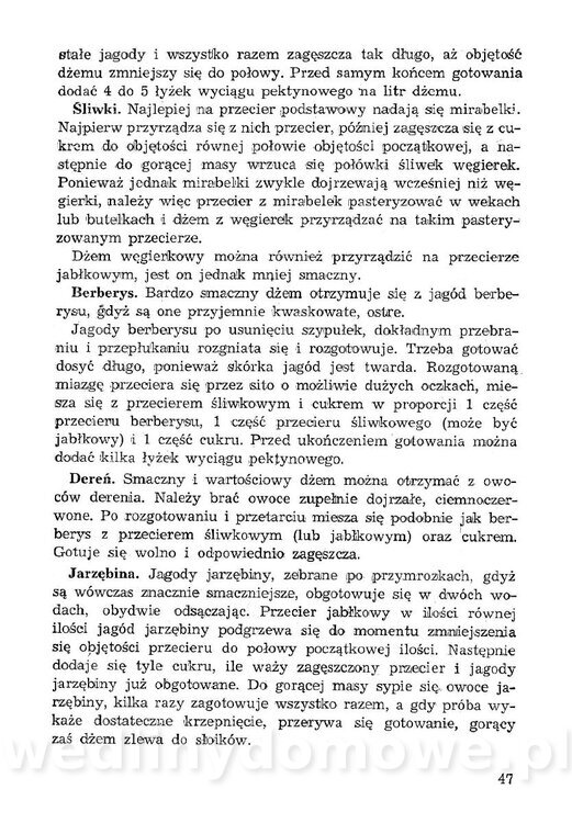 Łatwe i oszczędne przetwory z owoców, warzyw_48.jpg