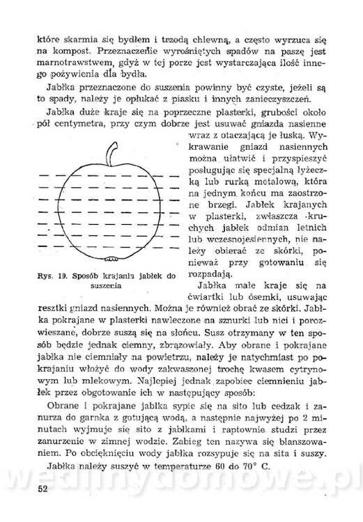 Łatwe i oszczędne przetwory z owoców, warzyw_53.jpg