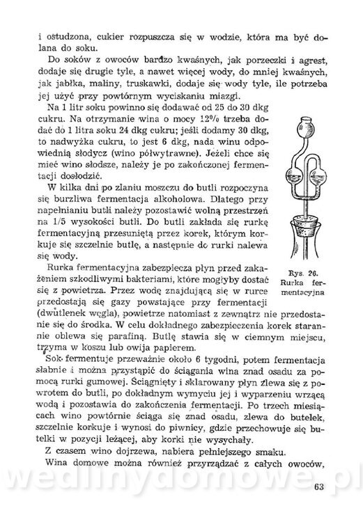 Łatwe i oszczędne przetwory z owoców, warzyw_64.jpg