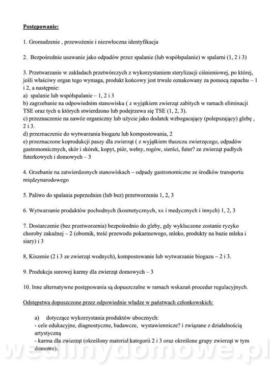 05.jpg