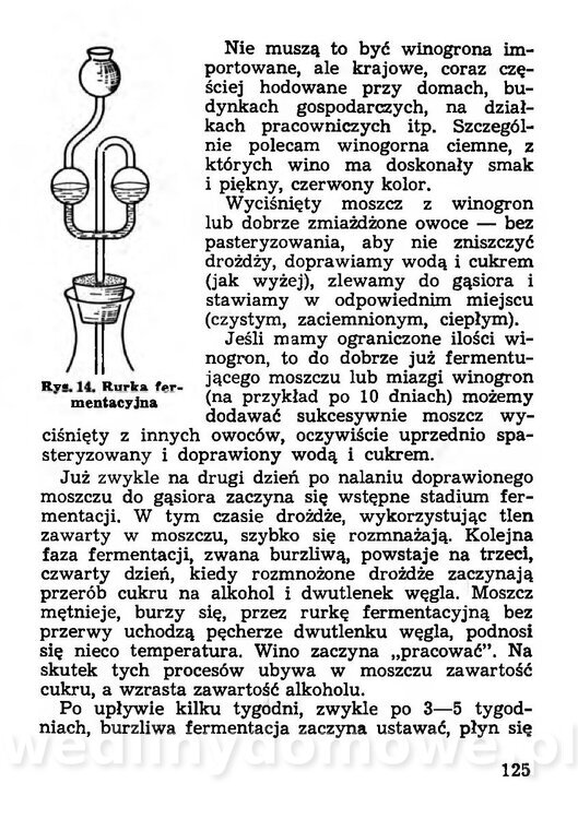 150 domowych przetworów z owoców warzyw i grzybów_124.jpg
