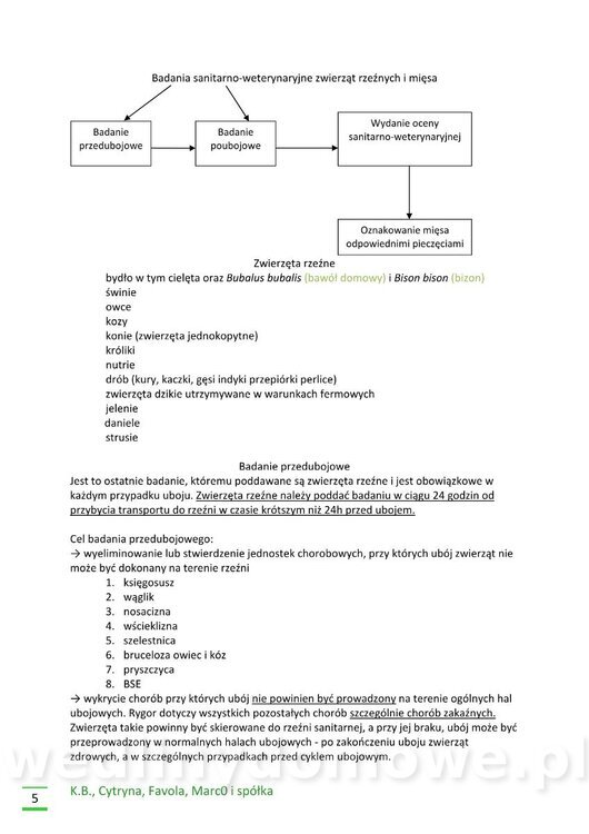 Higiena zwierząt rzeźnych_05.jpg