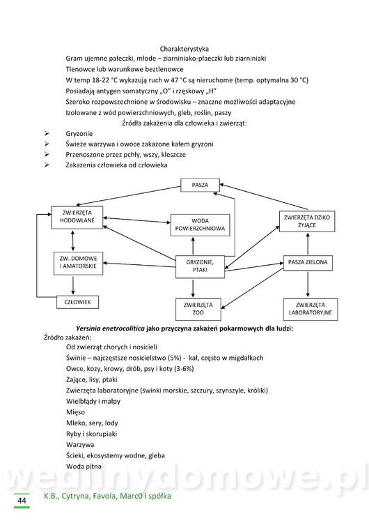 Higiena zwierząt rzeźnych_44.jpg