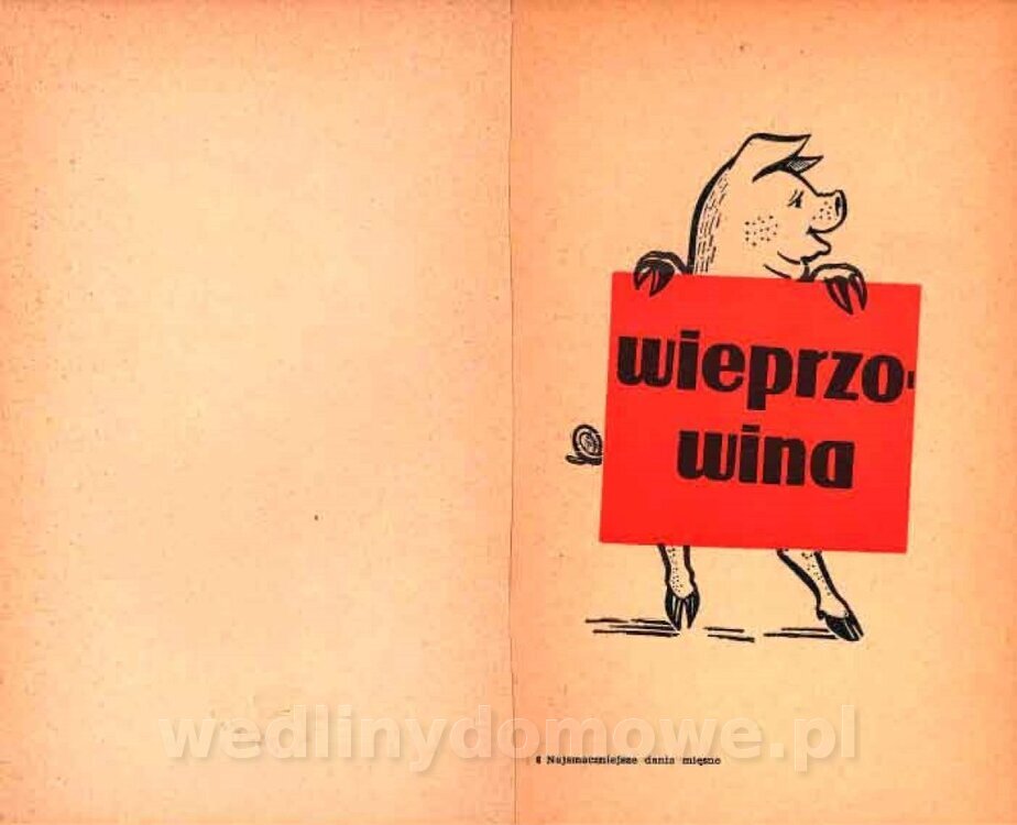 Najsmaczniejsze dania mięsne_74.jpg