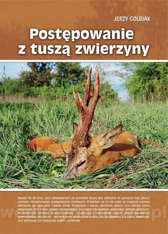 Postępowanie z tuszą zwierzyny_01.jpg