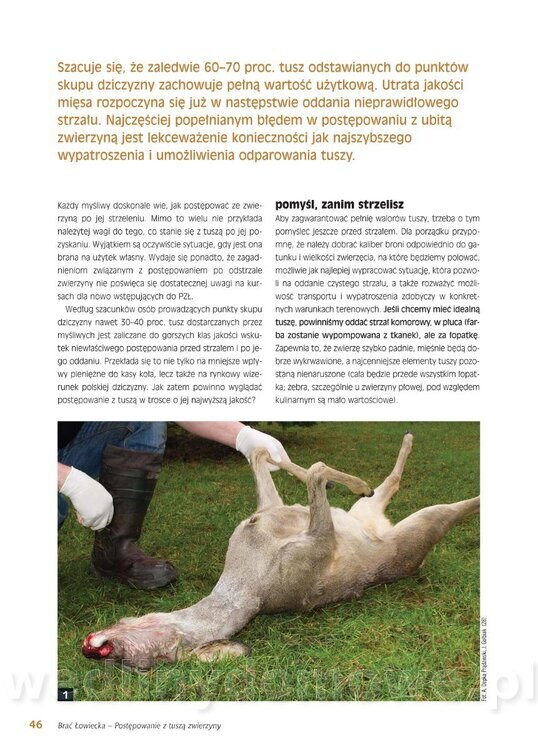 Postępowanie z tuszą zwierzyny_02.jpg