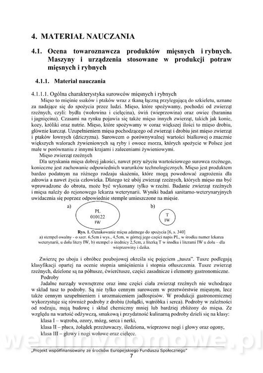 SP4E6B~1.JPG