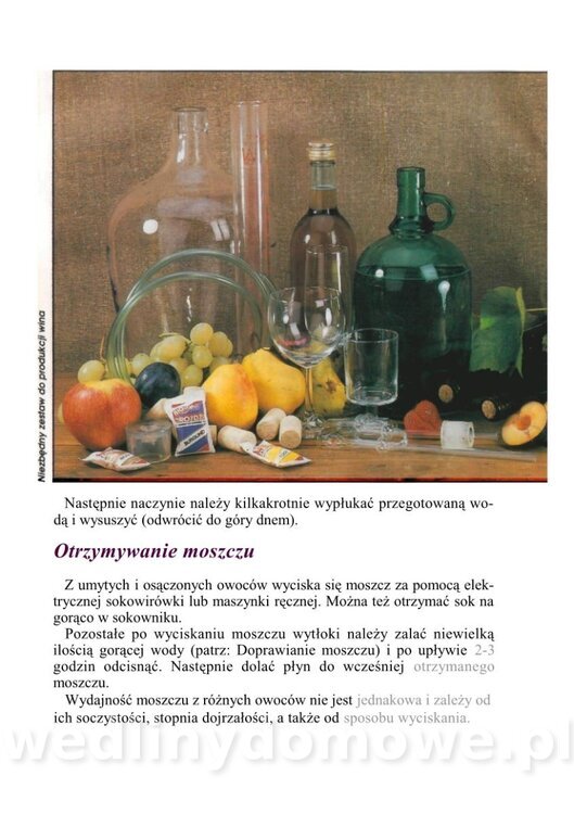 WINA DOMOWE I POTRAWY Z WINEM_05.jpg