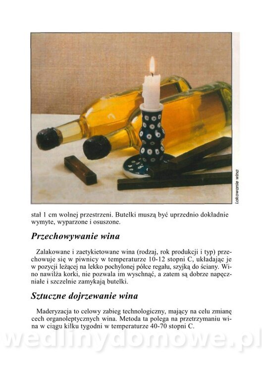 WINA DOMOWE I POTRAWY Z WINEM_20.jpg