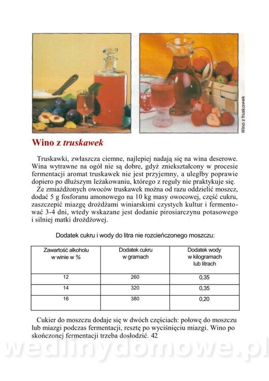 WINA DOMOWE I POTRAWY Z WINEM_42.jpg
