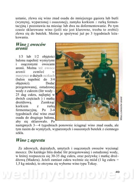 WINA DOMOWE I POTRAWY Z WINEM_50.jpg