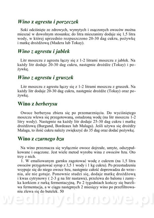 WINA DOMOWE I POTRAWY Z WINEM_51.jpg