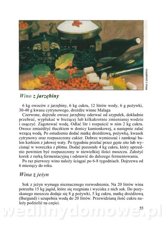 WINA DOMOWE I POTRAWY Z WINEM_56.jpg