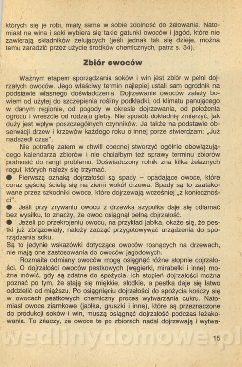 Wina i soki domowej roboty_017.jpg