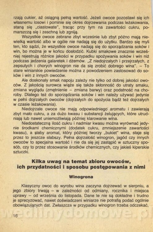 Wina i soki domowej roboty_018.jpg