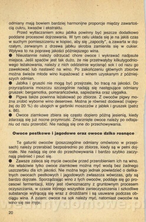 Wina i soki domowej roboty_022.jpg