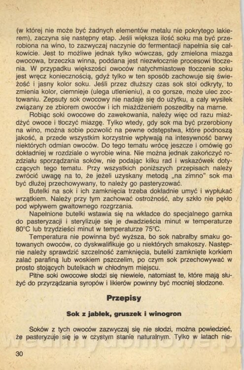 Wina i soki domowej roboty_032.jpg