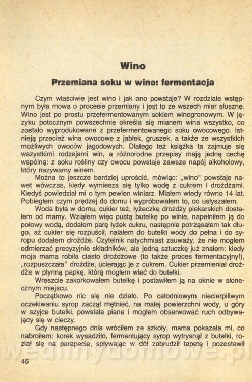 Wina i soki domowej roboty_048.jpg