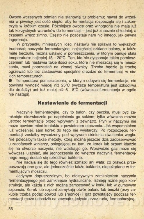 Wina i soki domowej roboty_058.jpg