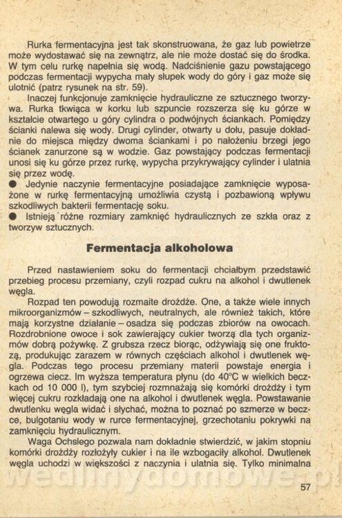 Wina i soki domowej roboty_059.jpg