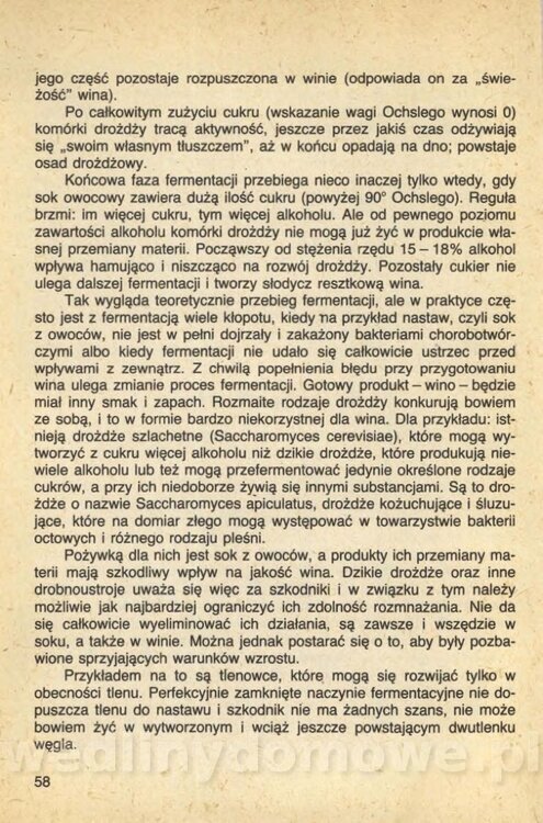 Wina i soki domowej roboty_060.jpg