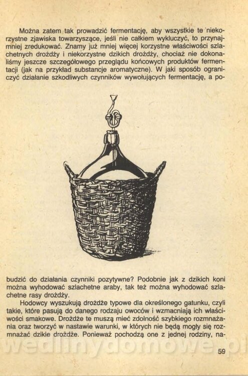 Wina i soki domowej roboty_061.jpg