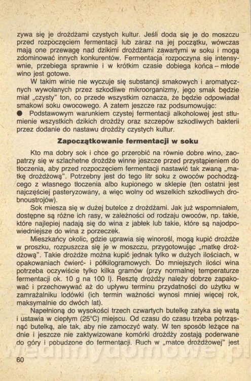 Wina i soki domowej roboty_062.jpg