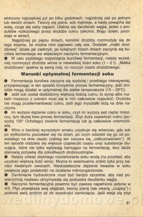 Wina i soki domowej roboty_063.jpg