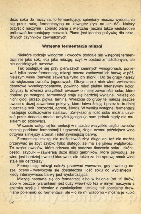 Wina i soki domowej roboty_064.jpg