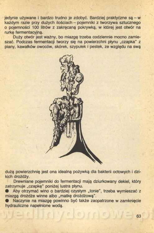 Wina i soki domowej roboty_065.jpg