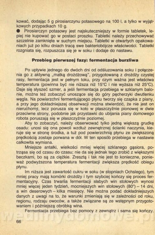 Wina i soki domowej roboty_068.jpg