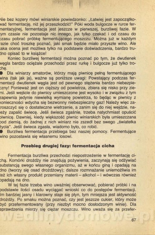 Wina i soki domowej roboty_069.jpg