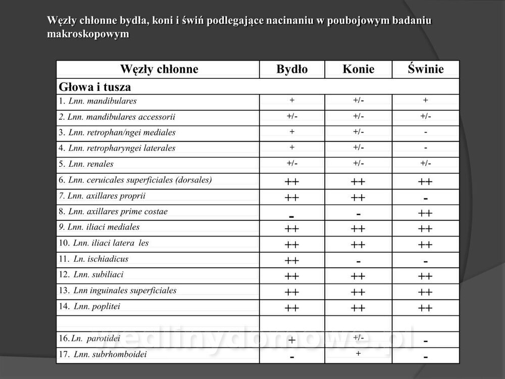 Zasady nadzoru i badania san-wet zwierząt rzeźnych i mięsa_054.jpg
