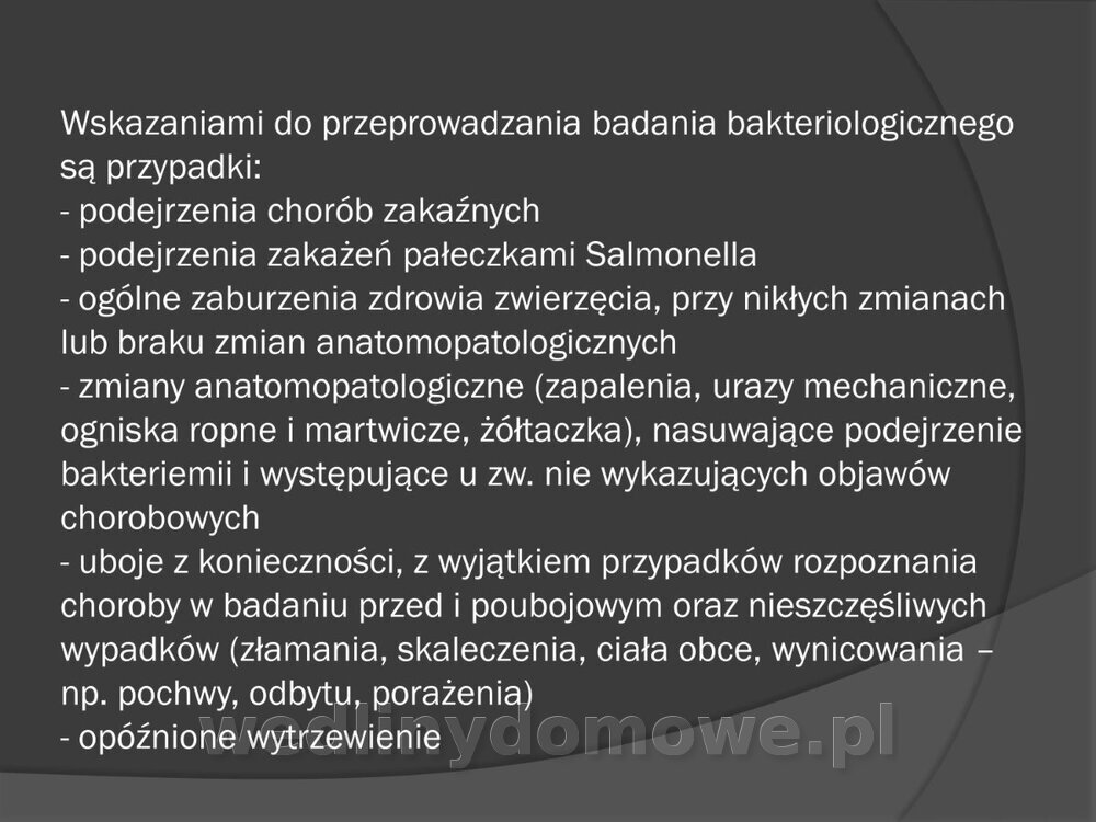 Zasady nadzoru i badania san-wet zwierząt rzeźnych i mięsa_059.jpg