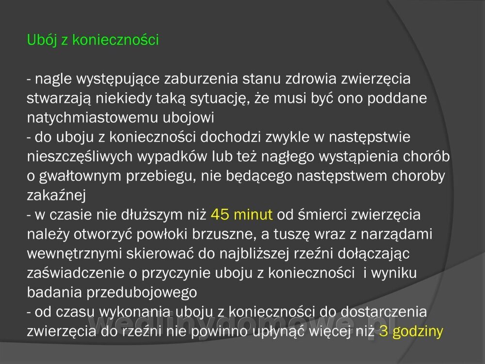 Zasady nadzoru i badania san-wet zwierząt rzeźnych i mięsa_079.jpg