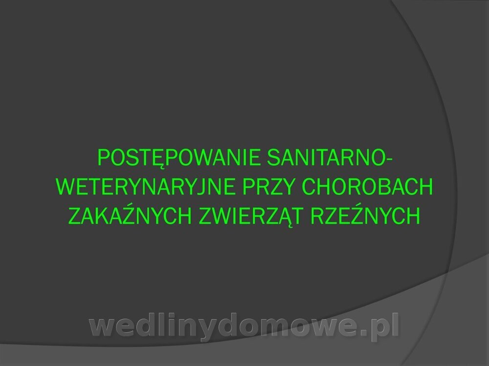 Zasady nadzoru i badania san-wet zwierząt rzeźnych i mięsa_080.jpg